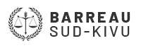 Bareau du Sud-Kivu Logo - Fallax Vision